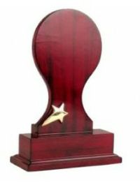 WA0012 Award Trophy