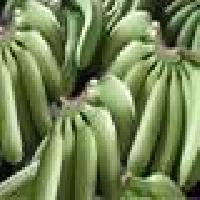 Fresh Cavendish Banana