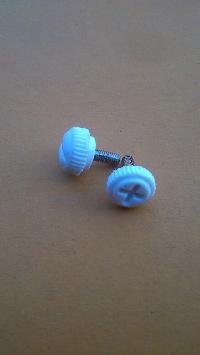 plastic moulded screw
