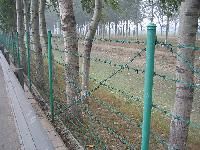 Barbed Wire Fencing