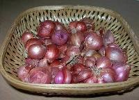 Onions