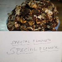 Special Flower Tamarind