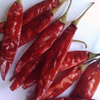 S 4 Indian Red Chillies