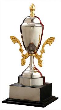 Cup Trophy 65