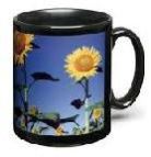Printed Mug