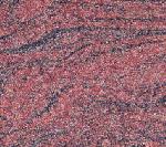 red multicolor granite