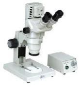 Biological Microscopes