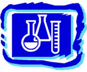 1-(3-chlorophenyl)piperazine Hydrochloride