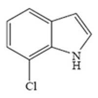 7-Chloro Indole 53924-05-3