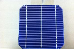 156mm Mono Crystalline Solar Cells