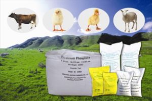 Monocalcium Phosphate (mcp) 22%min Feed Grade