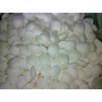 Sodium Cyanide Briquette Nacn 98%