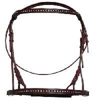 Leather Bridle