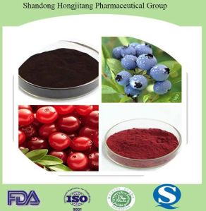 Blueberry Extract Powder