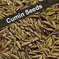 cumin seed