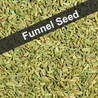 funnel seed