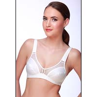 C Cup Bra at Best Price in Ahmedabad