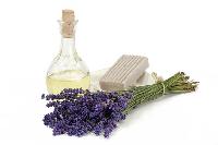 lavender fragrance