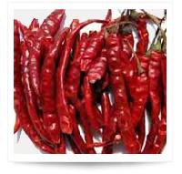 red chilli