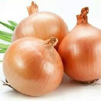 light red onion seeds