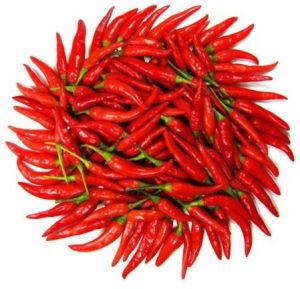 Fresh Red Chillies