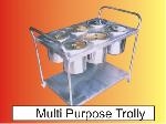 Multi Purpose Trolly