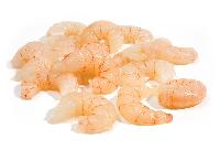 pud shrimps