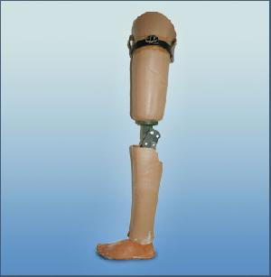 Above Knee Artificial Leg