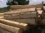 African Pine Wood