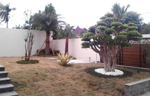 Mediterranean Garden Maintenance Services