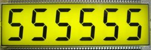 6 Digits Petrol Pump LCD