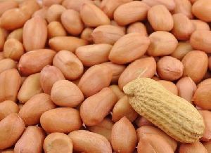 Peanut Kennels