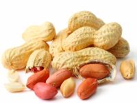 peanut kernels