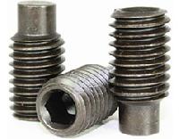 Dog Point Screw