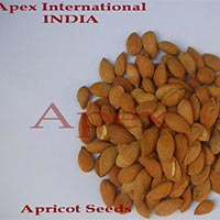 Apricot Seeds