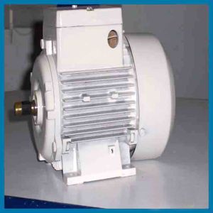 Motors For Rounding Machines