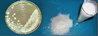 Microcrystalline Cellulose Powder