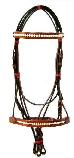 Horse Bridle