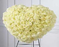 100 White Rose Bunch