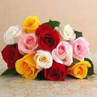 11 Color Rose Bunch