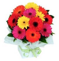 12 Color Gerbera Bunch