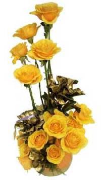 15 Yellow Rose Bunch