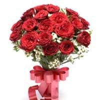 20 Red Rose Bunch