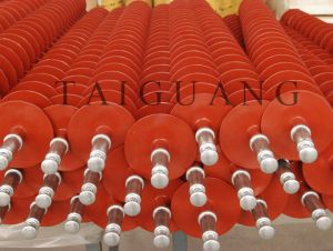 Silicon Rubber & Polymer Insulator