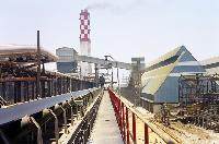 Conveyor Belt for Power Plant