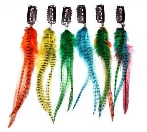 Rooster Feathers