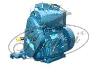 Peter Type Diesel Engine