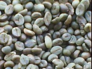 Coffee Nuts Coffee Nuts