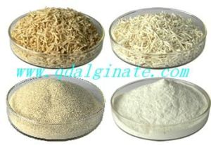Sodium Alginate