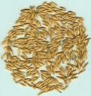 Sell Oats Extract